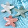 Gradient Color Starfish Hair Claw Clips Beach Headwear New Girl's Hair Clip  Hair Accessories