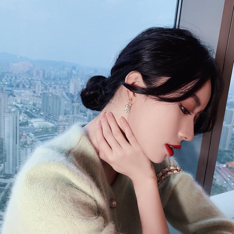 Light Luxury and High-end Earrings, Women