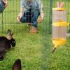 Automatic Rabbit Ears Hanging Water Bottle Rabbit Ears Cover Hamster Water Dispenser  Bunny