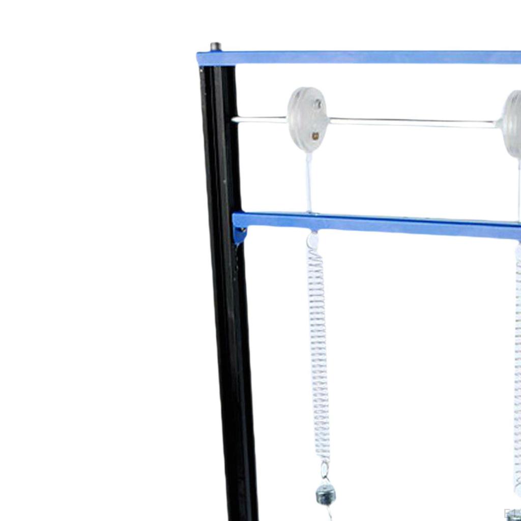 Vibration and Resonance Demonstrator Pendulum Ball Instrument Energy Transfer Physical Experiment