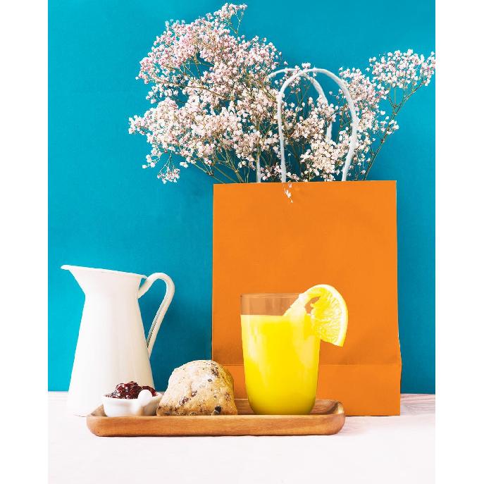 qiqee 24PCS Medium Gift Bag with Handles Bulk 11"x5"x8" Gift Bags Orange Bags Multiple Uses (Medium Size)