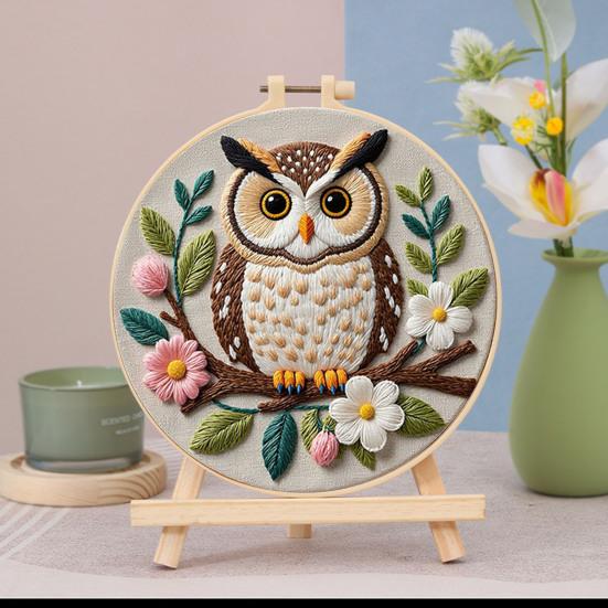 1 Set Owl Embroidery Kit with Hoop Threads Needles Beginners Pre-Stamped Bird Cross Stitch