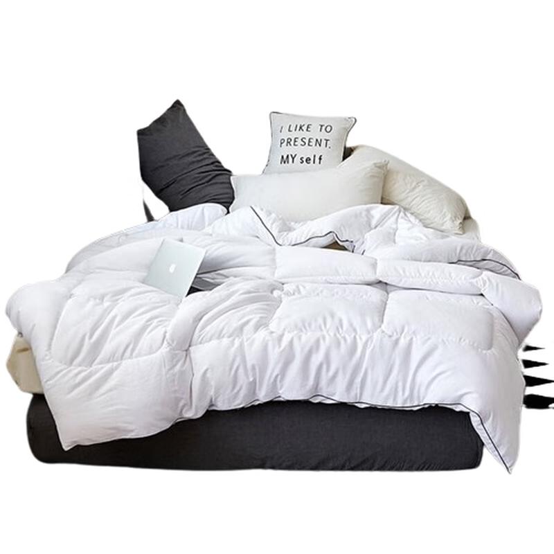 

Yiyi Ai All-Season Solid Color Warm Comforter