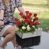 Bicycle Basket Cover, Waterproof Fabric, Full Rain Cover, For Both