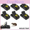 Durable And Reusable Plastic Mouse Traps For Effective Indoor Rodent Control