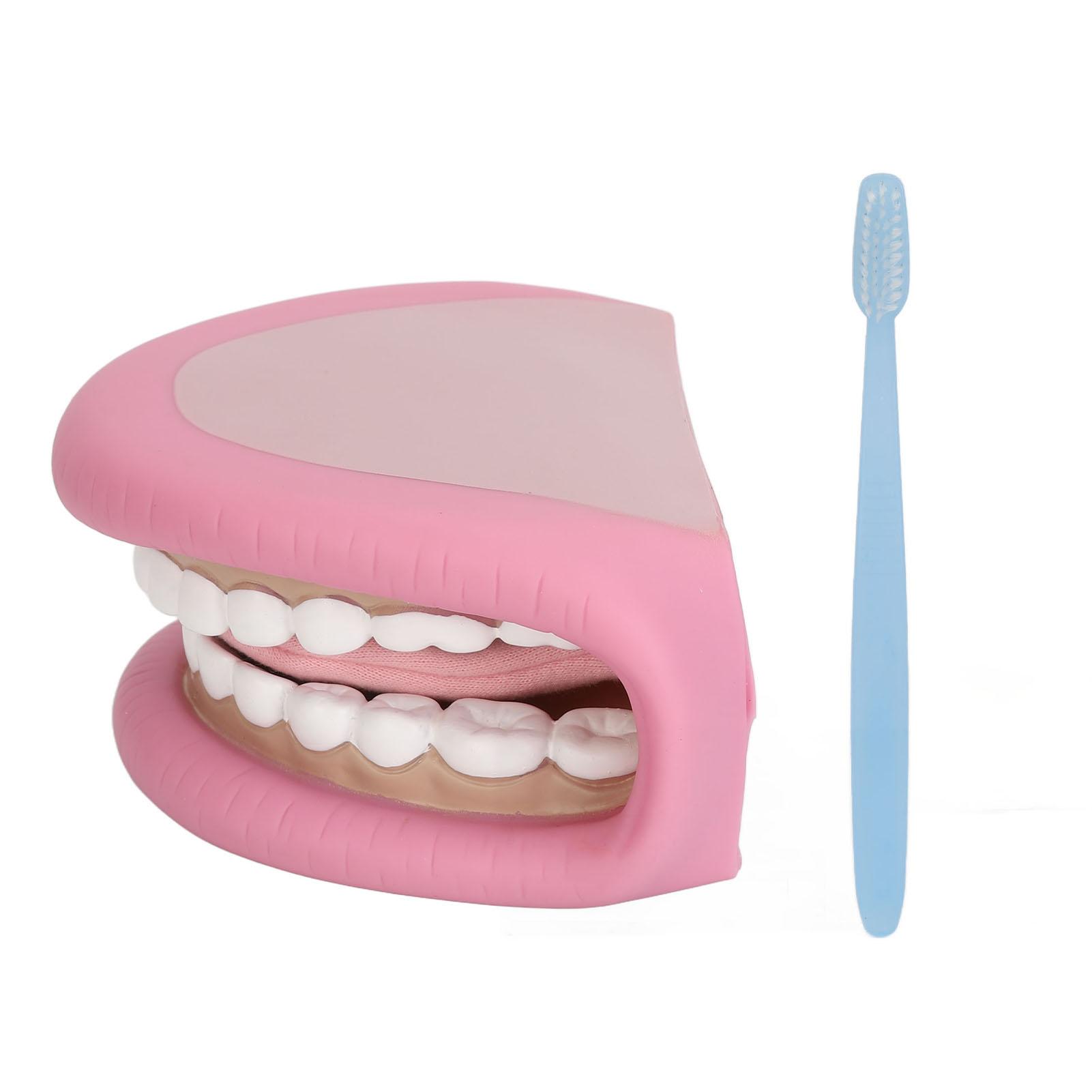 

Kids Mouth Hand Puppet 28 Teeth Tongue Mouth Puppet with Toothbrush for Speech Improvement