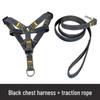 Multi-Size Dog Leash & Collar Set for Walking - Suitable for Small To Large Breeds