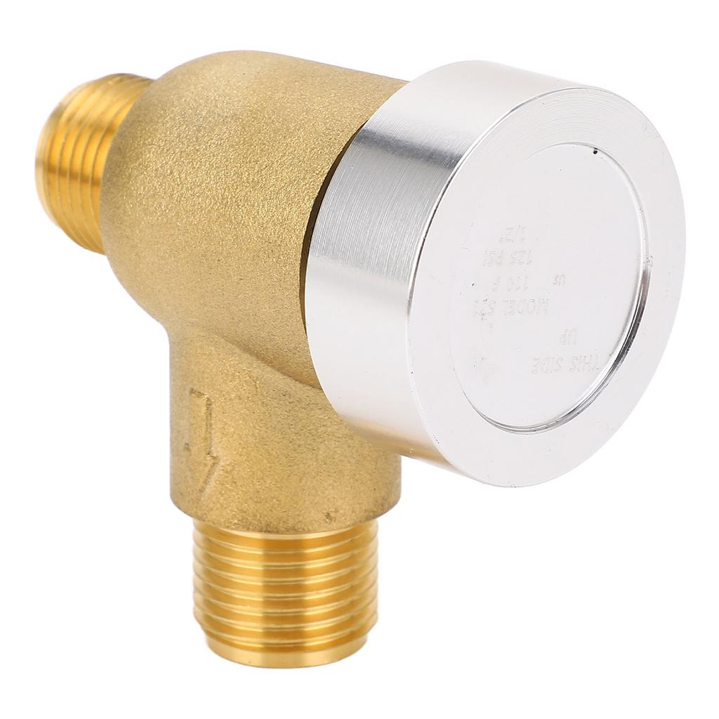 RV Vacuum Breaker Check Valve 571-VAC-CHK-A 1/2 Inch NPT Male Thread Brass Flusher Check Valve Repla