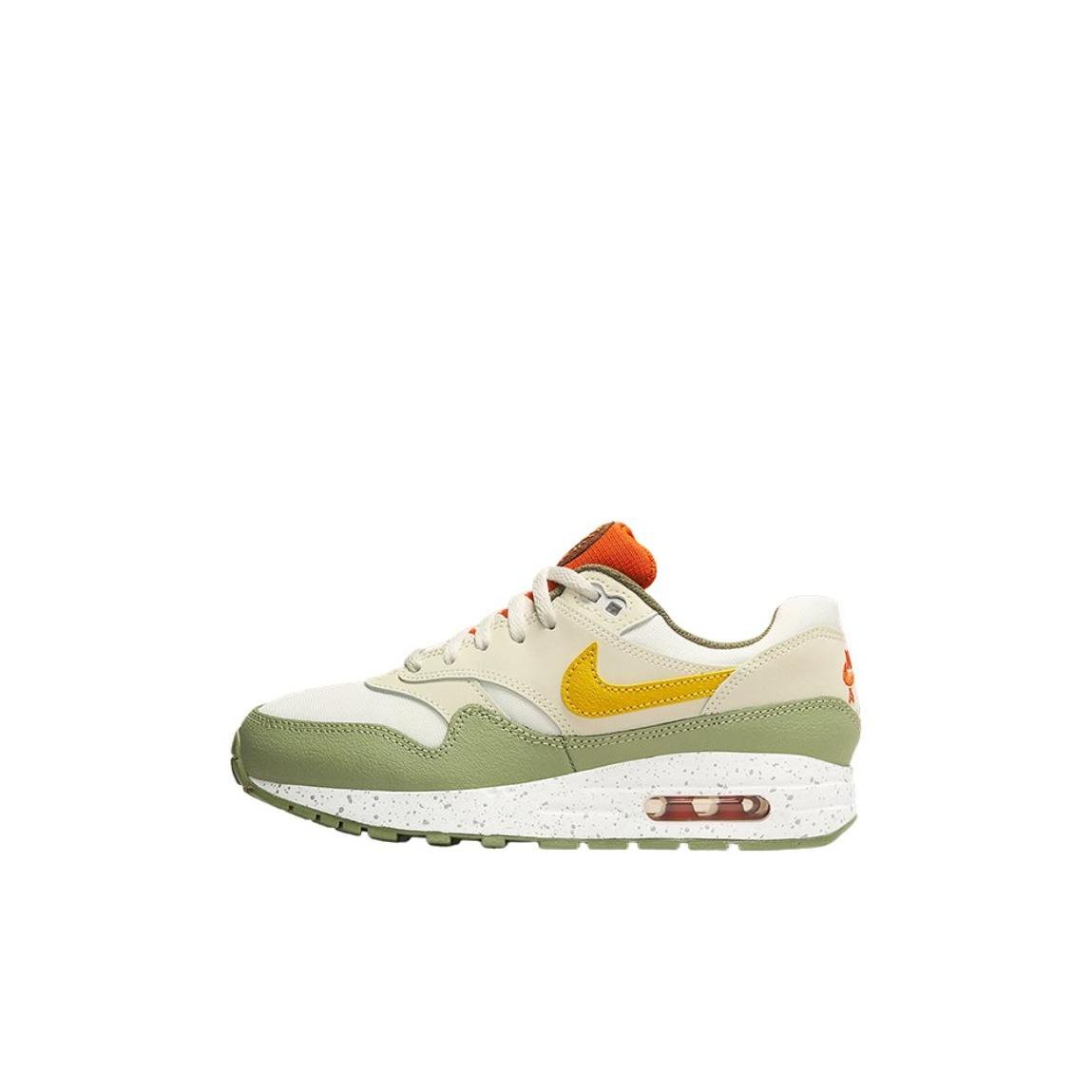 

детские кроссовки Nike Air Max 1 Kids Lifestyle shoes Kids FV3646-171