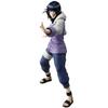 Ichiban Kuji NARUTO Die Klage der Wiedergeburt und die Brücke des Friedens B Hinata Hyuga MASTERLISE Shippuden Preis