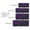 Neon Geometric Polygon Large XXL Mouse Pad Non-Slip Rubber Gaming Keyboard Deskmat Overlocked Computer Game Table Accessories