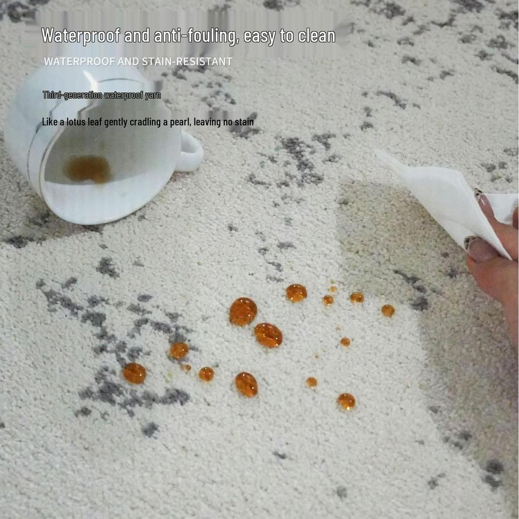 Nordic High-End Waterproof, Stain-Resistant Antibacterial Luxury Living Room Carpet