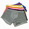 Spot Plus Size Men's Breathable Lace Mid-Waist Boxer Briefs