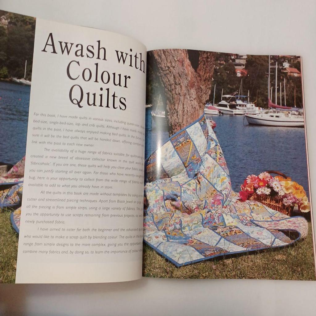 [USED] 597Awash With Colour (Colorful Quilting) Foreign Books