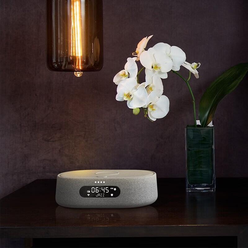 Harman Kardon Citation Oasis FM Smart Speaker with Radio