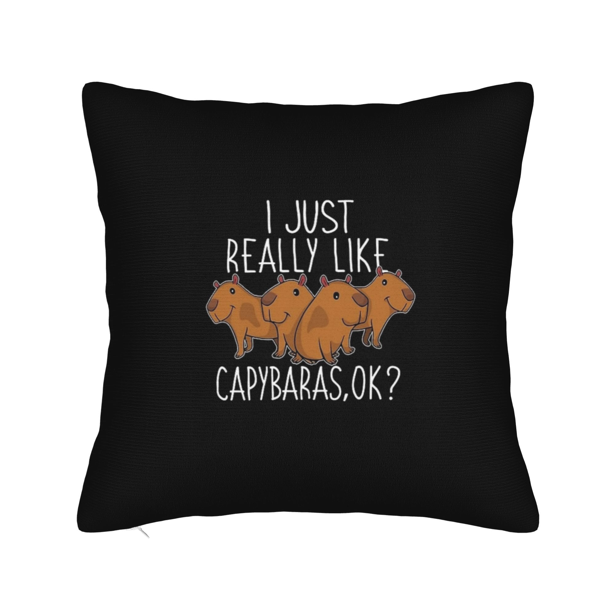 

Pillow Case Kawaii Capybara Square Pillow Cover For Couch Sofa Bedroom Retro Trendy Pillowcases 12x12Inch
