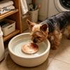 Pure Copper Disc for Dog Water Bowl Purification Dog, 4-Inch Diameter Disc, Raised Fountain with 3-Point Support Dispenser Durable