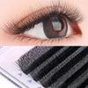 Six-Leaf Clover 6D Lashes: Denser and Softer Than Five- or Three-leaf Styles, with No Root Scatter, Perfect for a Bold European Bloom Effect.