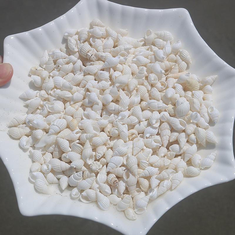 Handmade Natural Seashell Conch & Starfish Frame for DIY Fish Tank or Landscaping