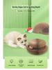 Magic Accordion Cat Scratcher with Ball & Bell - Popular Cat Climbing Toy