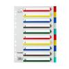 Tranbo A4 11-Hole Color Index Divider, 5-Page PP Folder