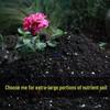 Universal Organic Planting Soil for Flowers, Vegetables, Succulents, and Pothos (60 Jin)