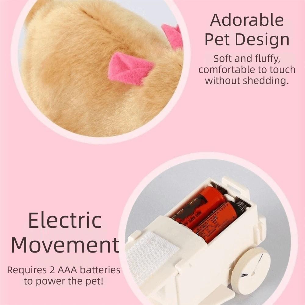 Built-in Plush Animal Interactive Cat Toy Transparent Hamster Chasing Ball  Training