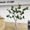 Nordic Style Eucalyptus Apple Leaf Artificial Flower for Wedding and Living Room Decoration