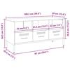 VidaXL TV Cabinet, Television Stand with Legs, TV Stand with Storage Living Room, Black 100.5x39x50.5 Cm 843036