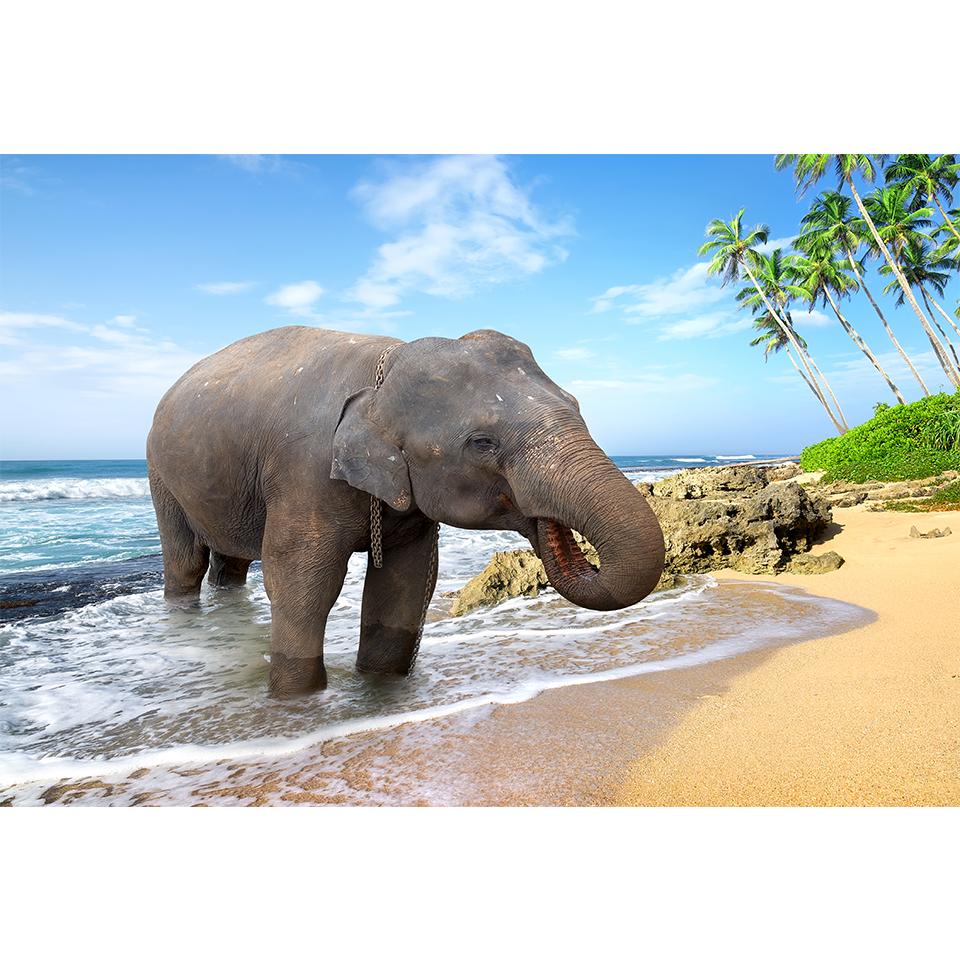 5D-Diamantgemälde zum Selbermachen, Tier-Strass-Bilder, Kreuzstich-Set, voller Diamant-Stickerei, Elefant, Mosaik, Geschenk, Heimdekoration