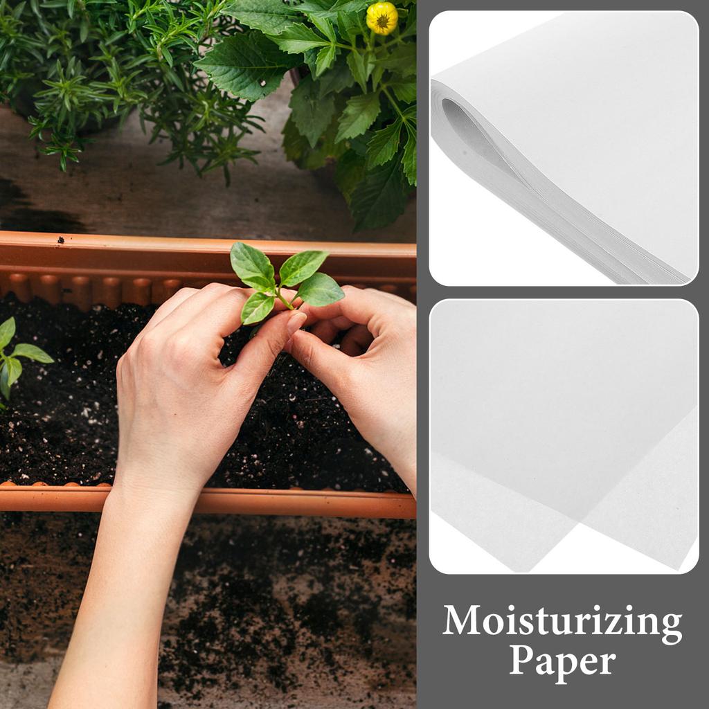 100Pcs 54x19.5cm Germination Sprouting Paper Durable Odorless for Soya Mung Bean Wheat Seedling Growing Sheets Farmers