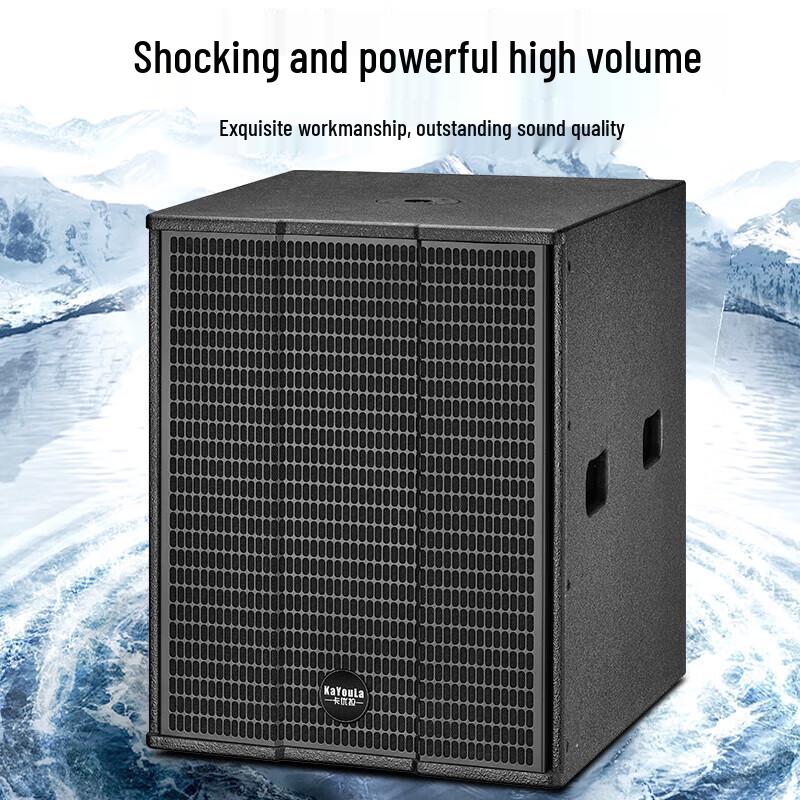 KaYouLa Professional Passive Full-Range Speaker