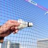 Oujian 6.1m Badminton Net with Steel Cable & Purple Edging