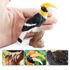Realistic Toucan Figure Observation Display Static Model Statue Bird Figurine Playhouses Layout Kids Basket Stuffings