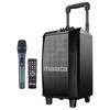 Malata M+9015C 8-Inch Portable Outdoor PA Speaker (CN Version)