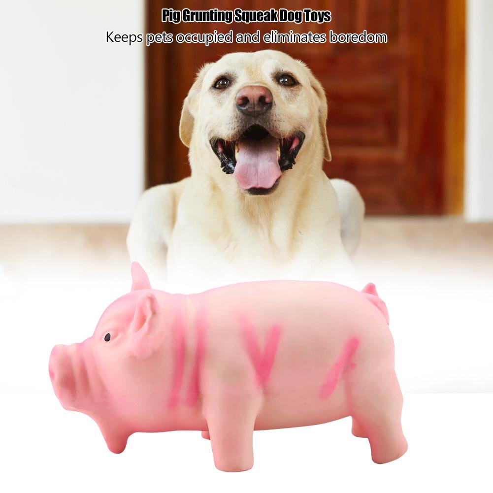 Cute Pig Grunting Squeak Latex Pet Chew Toys for Dog Puppy Toy