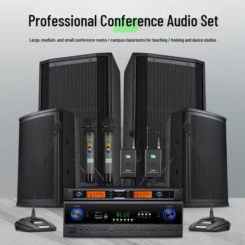 Ridiss AC210 Conference Room Audio System Set