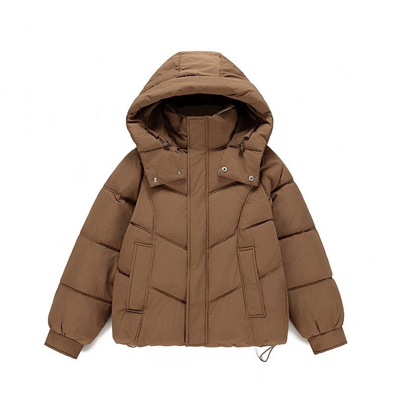 Hooded women's cotton-padded clothes New winter niche design fashionable cotton clothes Women's loose bread clothes Thickened coat