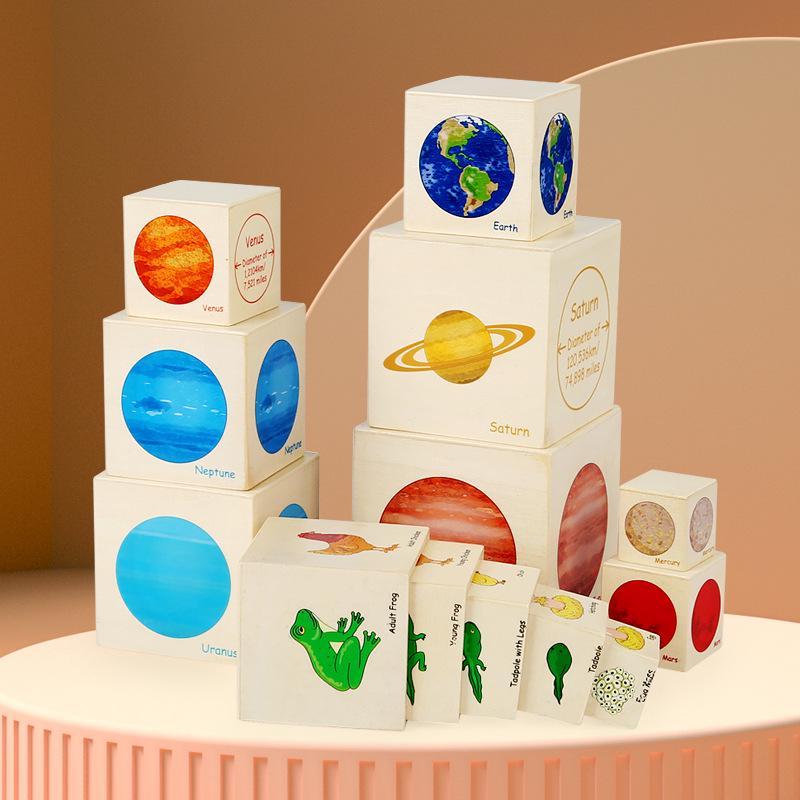 

Wooden Early Learning Set: 8 Planets & Growth Stages for Logical Thinking