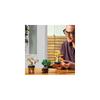 LEGO Botanical Mini Bonsai Toy Building Set 10373 for Home Decor and Art, Ideal Gift for Men and Women