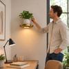 Floating Wall Shelf with Built-in Lights, Modern Plant Display Shelf, -Saving Mount, for Living Room and Bedroom