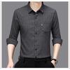 Smooth Anti-pilling Mulberry Silk Men's Long-sleeved Shirt Spring and Autumn New Striped Shirt No Ironing