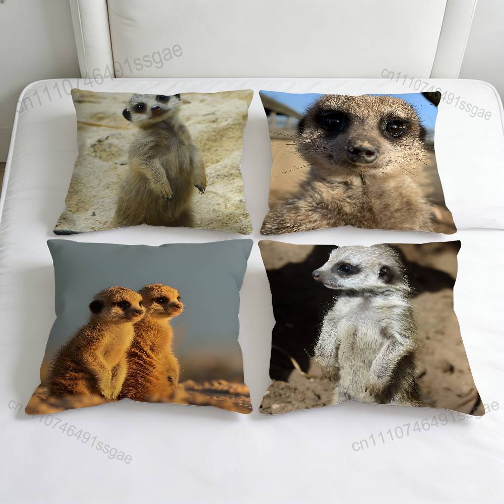 Cute Baby MMeerkat Fashion Square Pillow Case Durable Throw Pillow Cover for Sofa Couch Chair