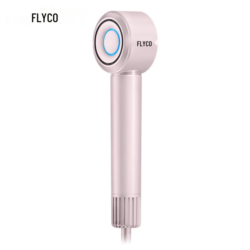 FLYCO High-Power Negative Ion Hair Dryer CN plug (adapter included)