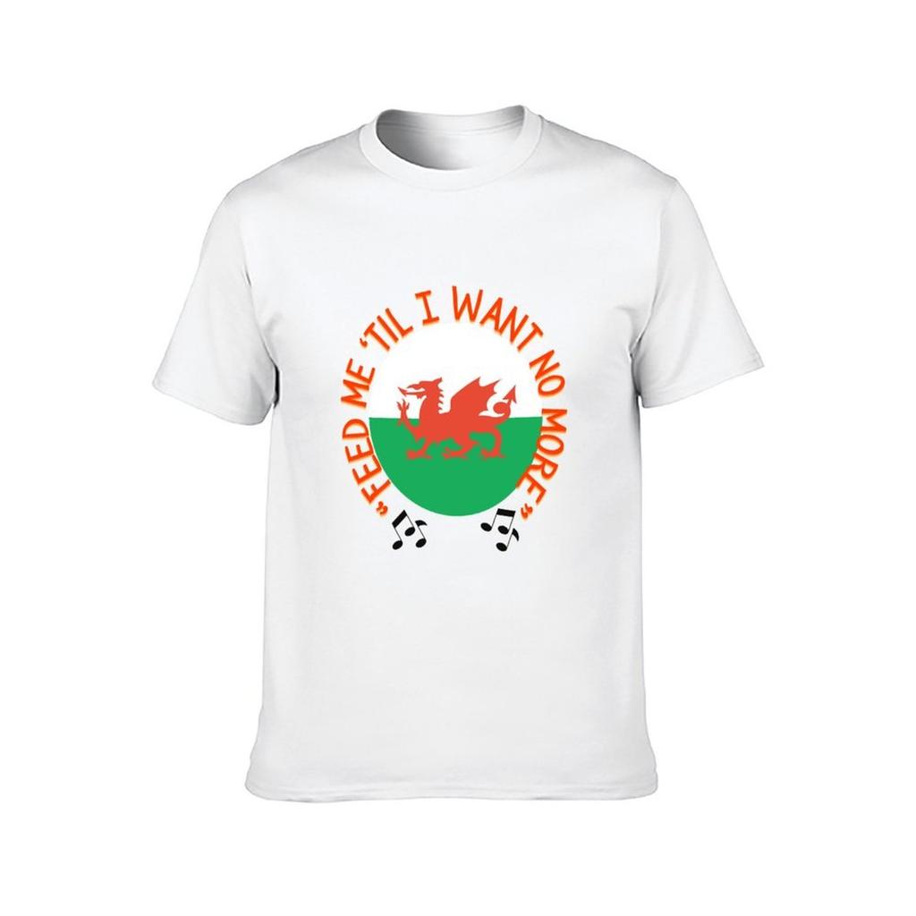 Welsh Dragon Feed Me Til I Want No More TShirt Man T Shirt Heavy Cotton T Shirts for Man Graphic Funny TShirt