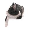 Best Of Breed Resin Black & White Sleeping Cat - 18cm