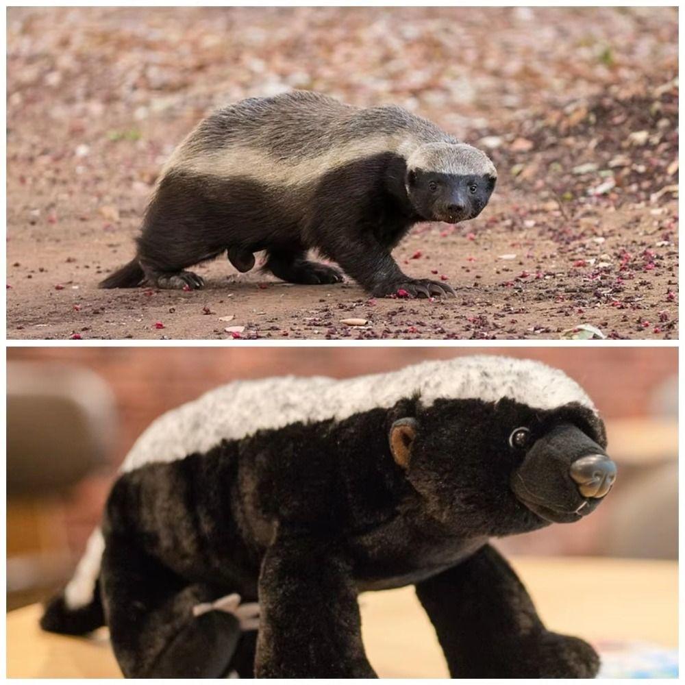 Stuffed Doll Badger Honey Toy Wild Animal Simulation Badger Badger Mongoose Plush Boys Girls