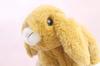 Take Off Rabbit Maron Holland Lop Light Brown