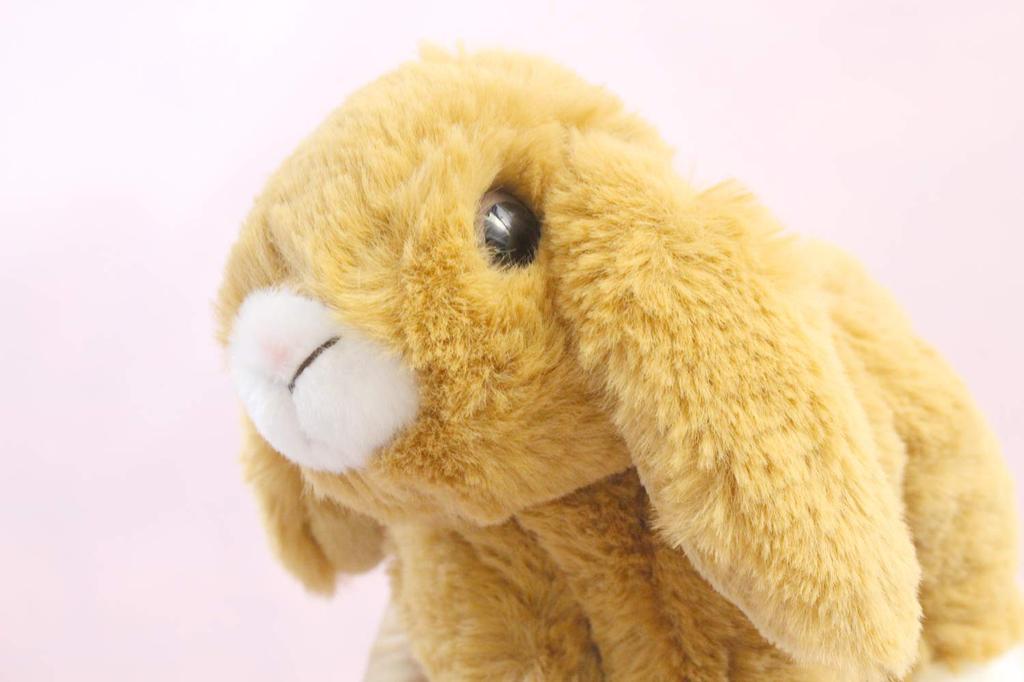 Take Off Rabbit Maron Holland Lop Light Brown