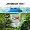 Guppy Breeding Box: Fish Isolation & Hatching Tank for Small Fish Fry & Mother Fish